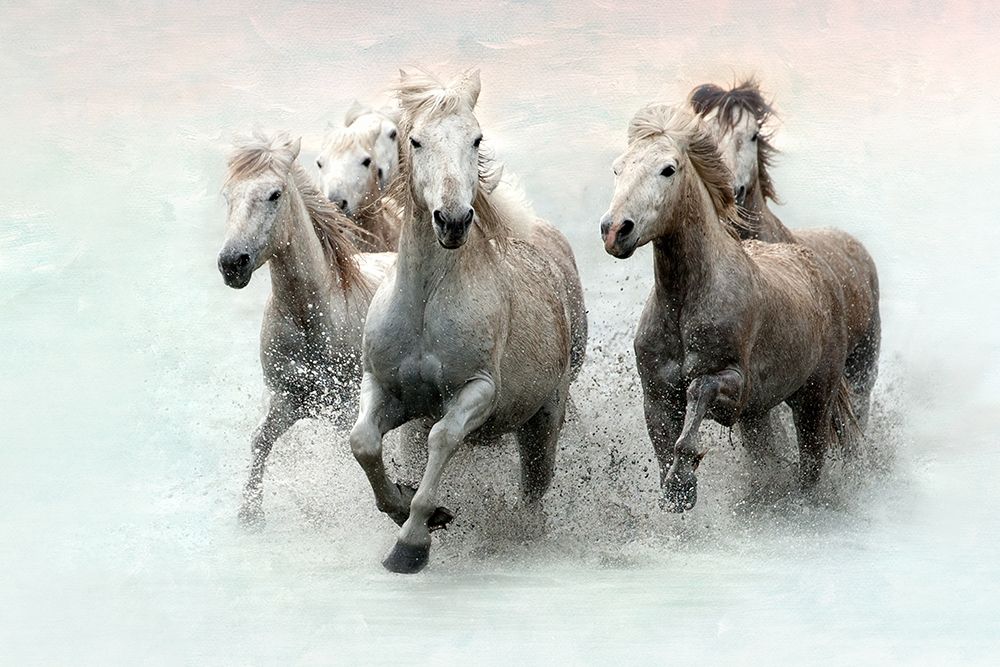 Run and Splash art print by Merrie Asimow for $57.95 CAD