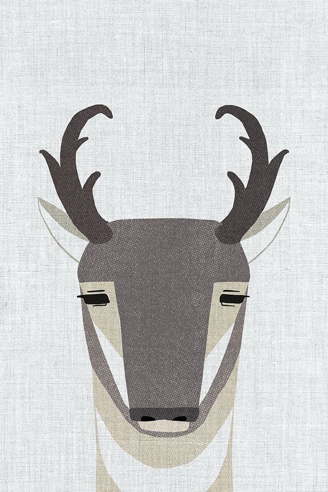 Pronghorn Antelope art print by Annie Bailey Art for $57.95 CAD