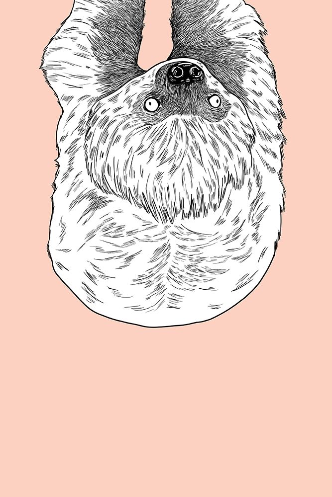 Sloth art print by Annie Bailey Art for $57.95 CAD