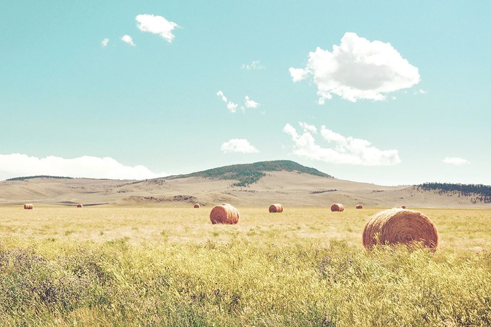 A Day in the Fields art print by Annie Bailey Art for $57.95 CAD