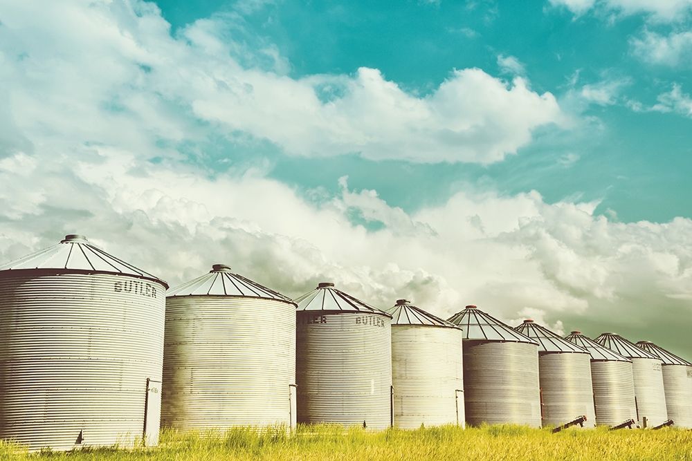 All in a Row art print by Annie Bailey Art for $57.95 CAD