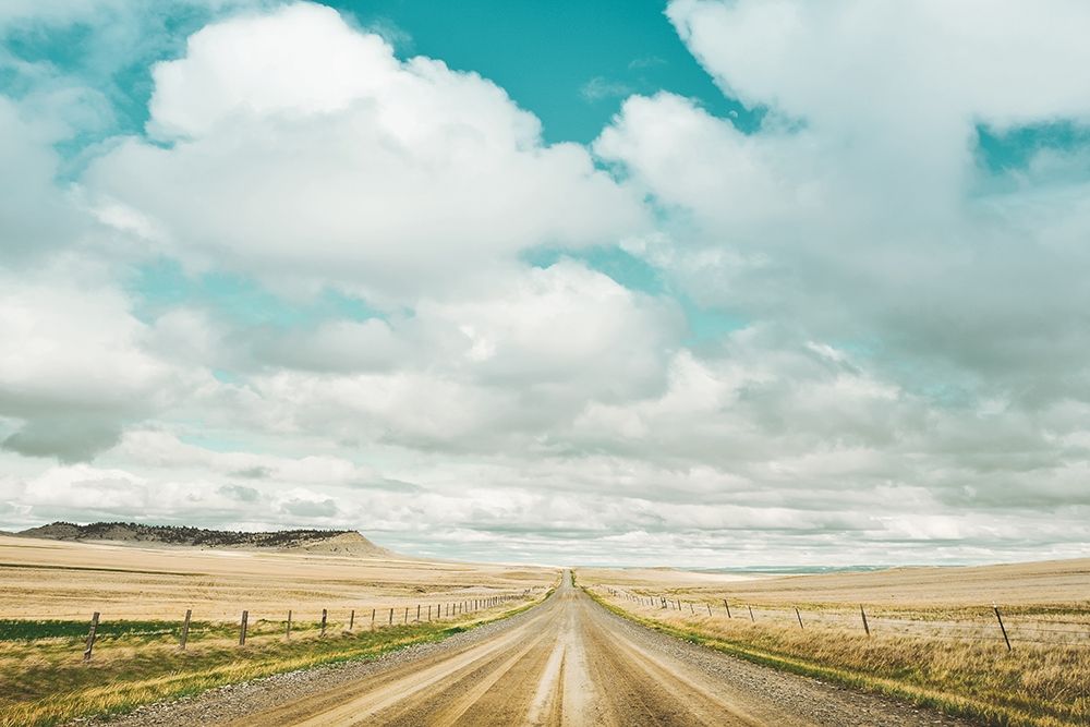 Dirt Road Travels art print by Annie Bailey Art for $57.95 CAD