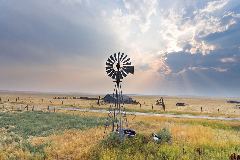 Windmill Sunset art print by Annie Bailey Art for $57.95 CAD