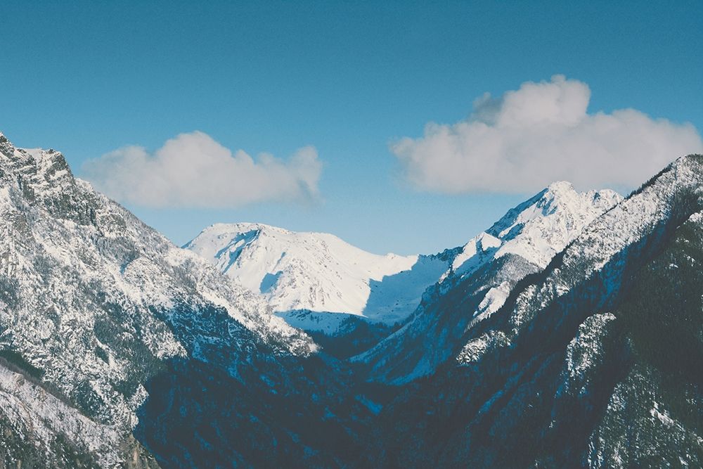 Gaining Altitude art print by Annie Bailey Art for $57.95 CAD