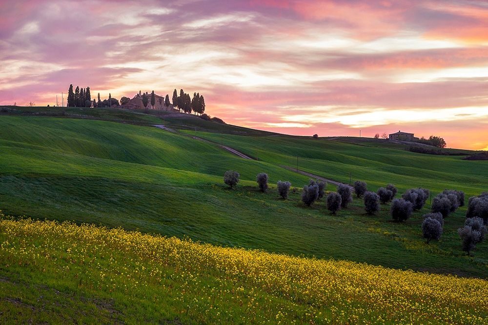 Tuscany Palette art print by Dora Artemiadi for $57.95 CAD