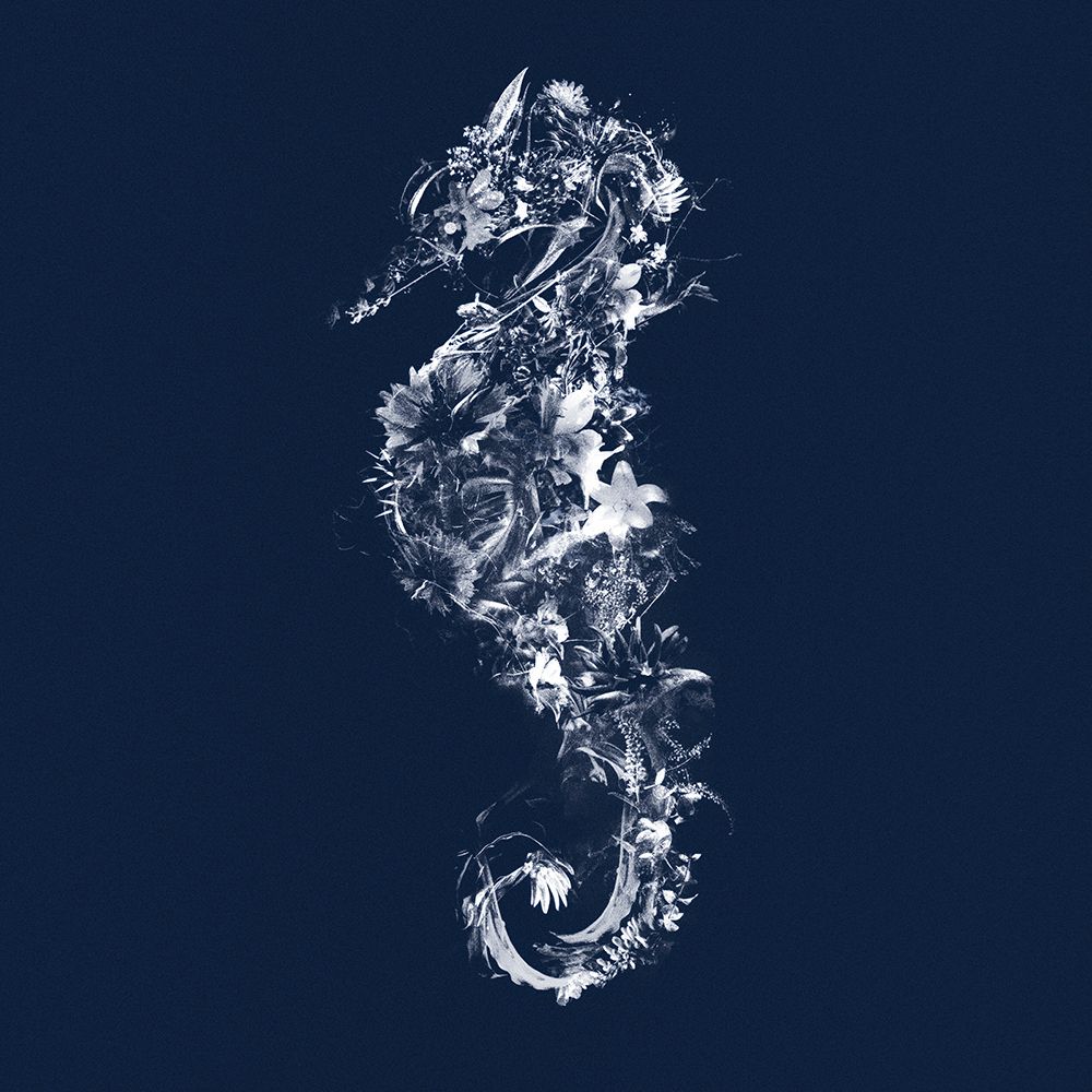 Seahorse art print by Teis Albers for $57.95 CAD