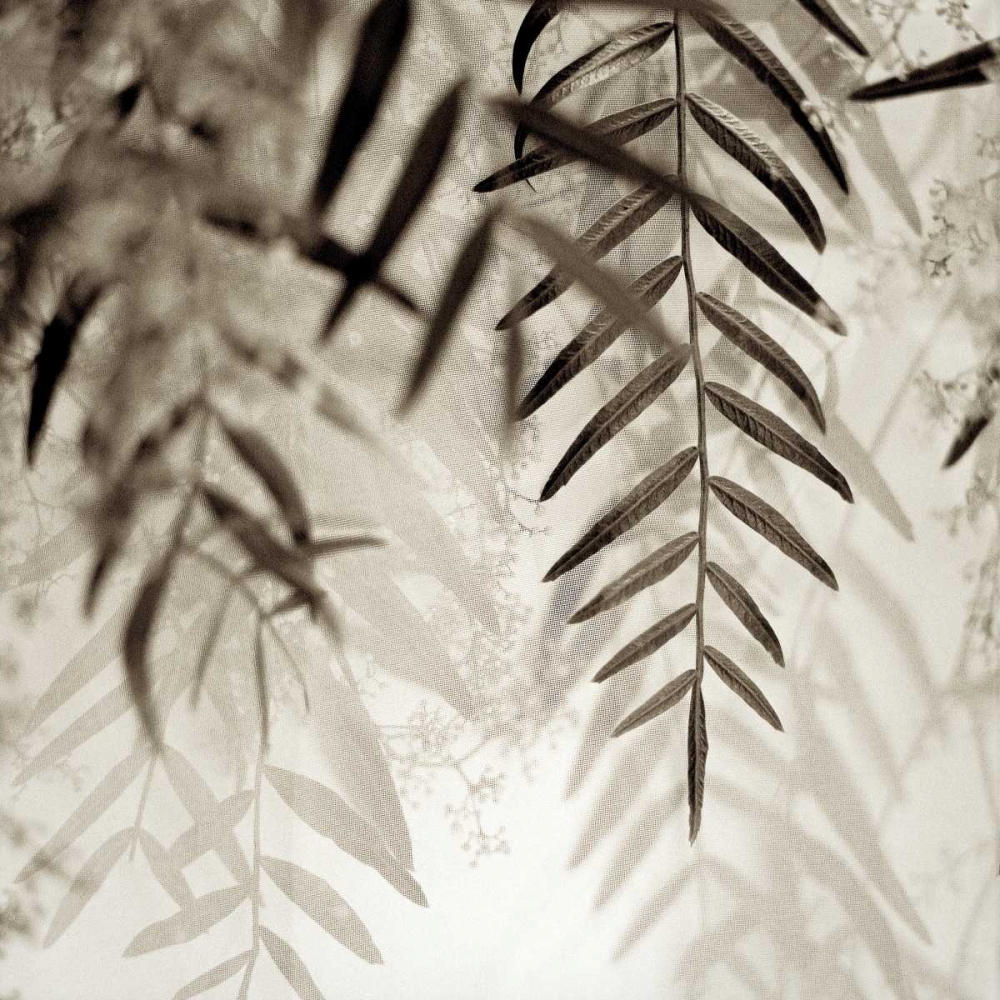 Florison - 56 art print by Alan Blaustein for $57.95 CAD