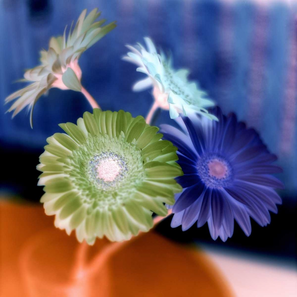 Floral Color - 3 art print by Alan Blaustein for $57.95 CAD