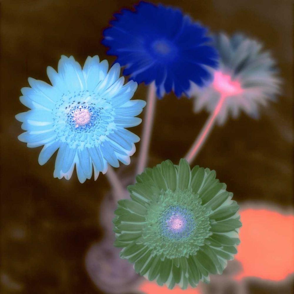 Floral Color - 4 art print by Alan Blaustein for $57.95 CAD