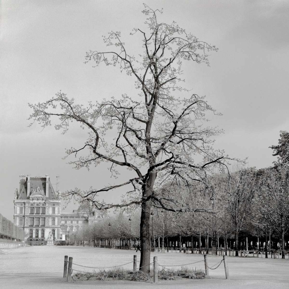 Paris - 22 art print by Alan Blaustein for $57.95 CAD