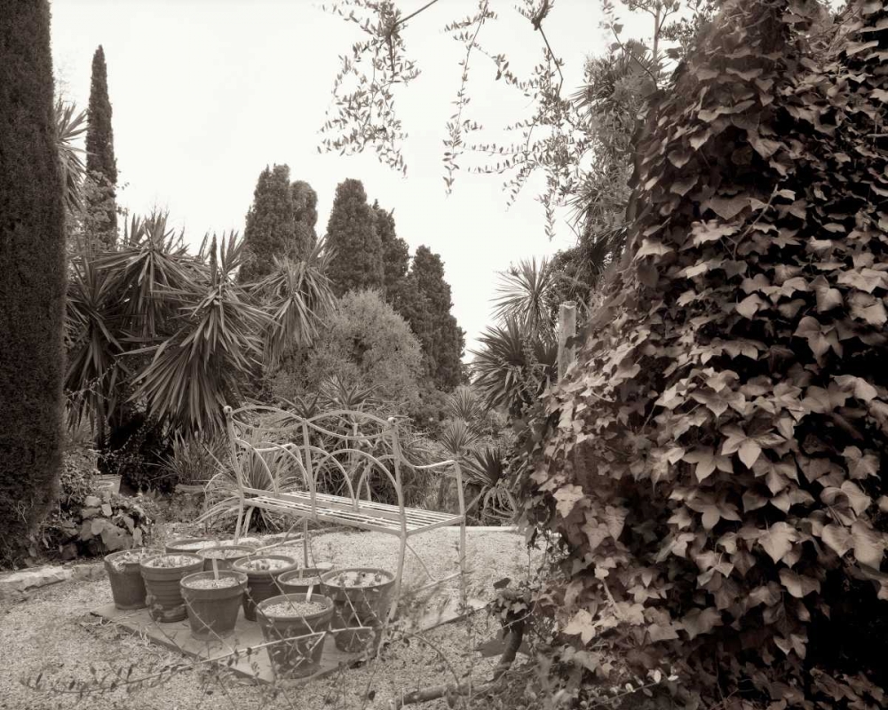 Banc de Jardin - 62 art print by Alan Blaustein for $57.95 CAD