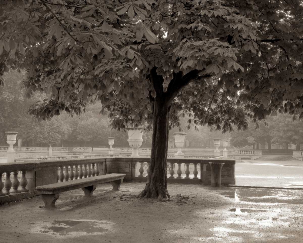Banc de Jardin - 65 art print by Alan Blaustein for $57.95 CAD