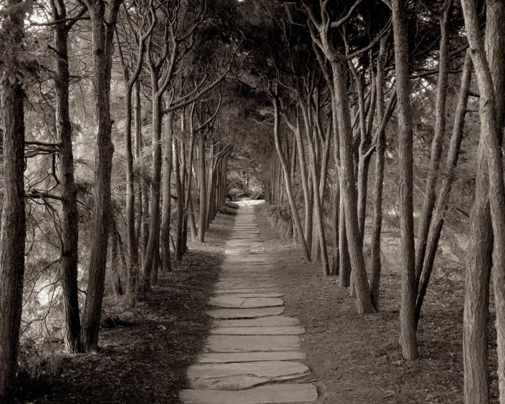 Banc de Jardin - 75 art print by Alan Blaustein for $57.95 CAD
