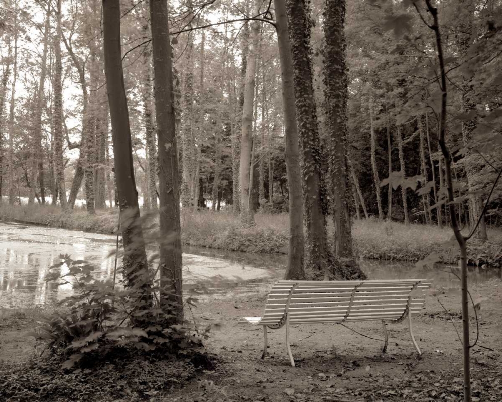 Banc de Jardin - 84 art print by Alan Blaustein for $57.95 CAD