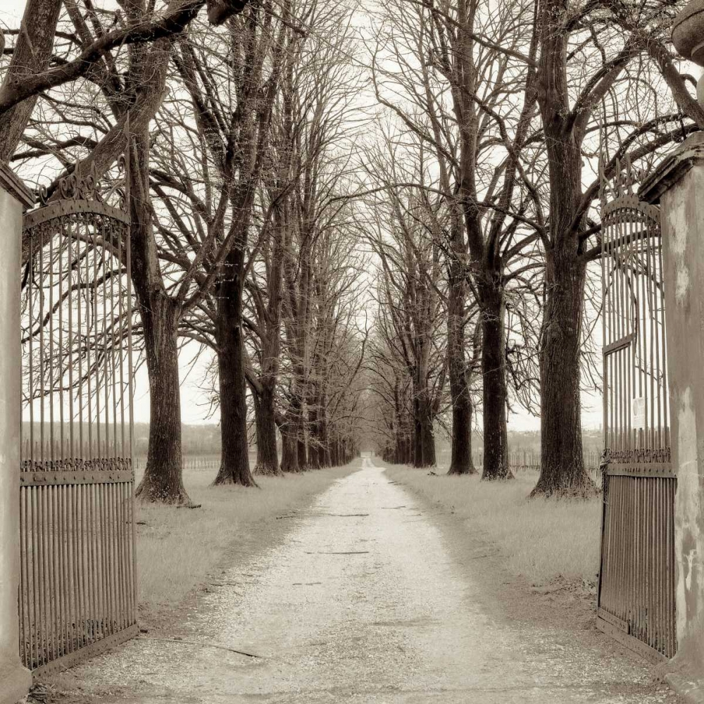 Veneto Giardini - 1 art print by Alan Blaustein for $57.95 CAD
