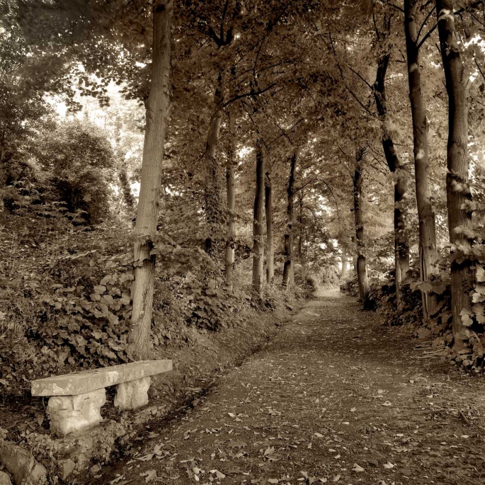 Fiesole Giardini - 2 art print by Alan Blaustein for $57.95 CAD