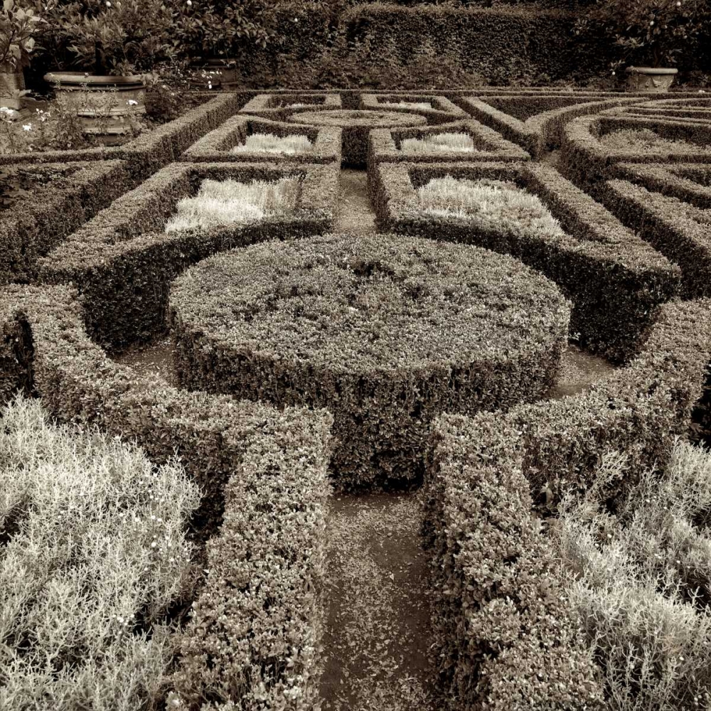 Tuscan Giardini - 1 art print by Alan Blaustein for $57.95 CAD