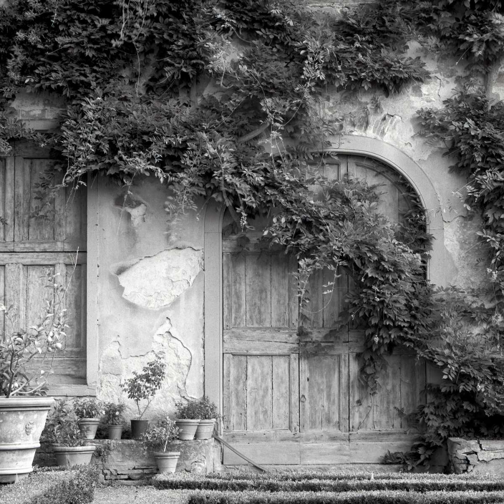 Tuscany - 6 art print by Alan Blaustein for $57.95 CAD