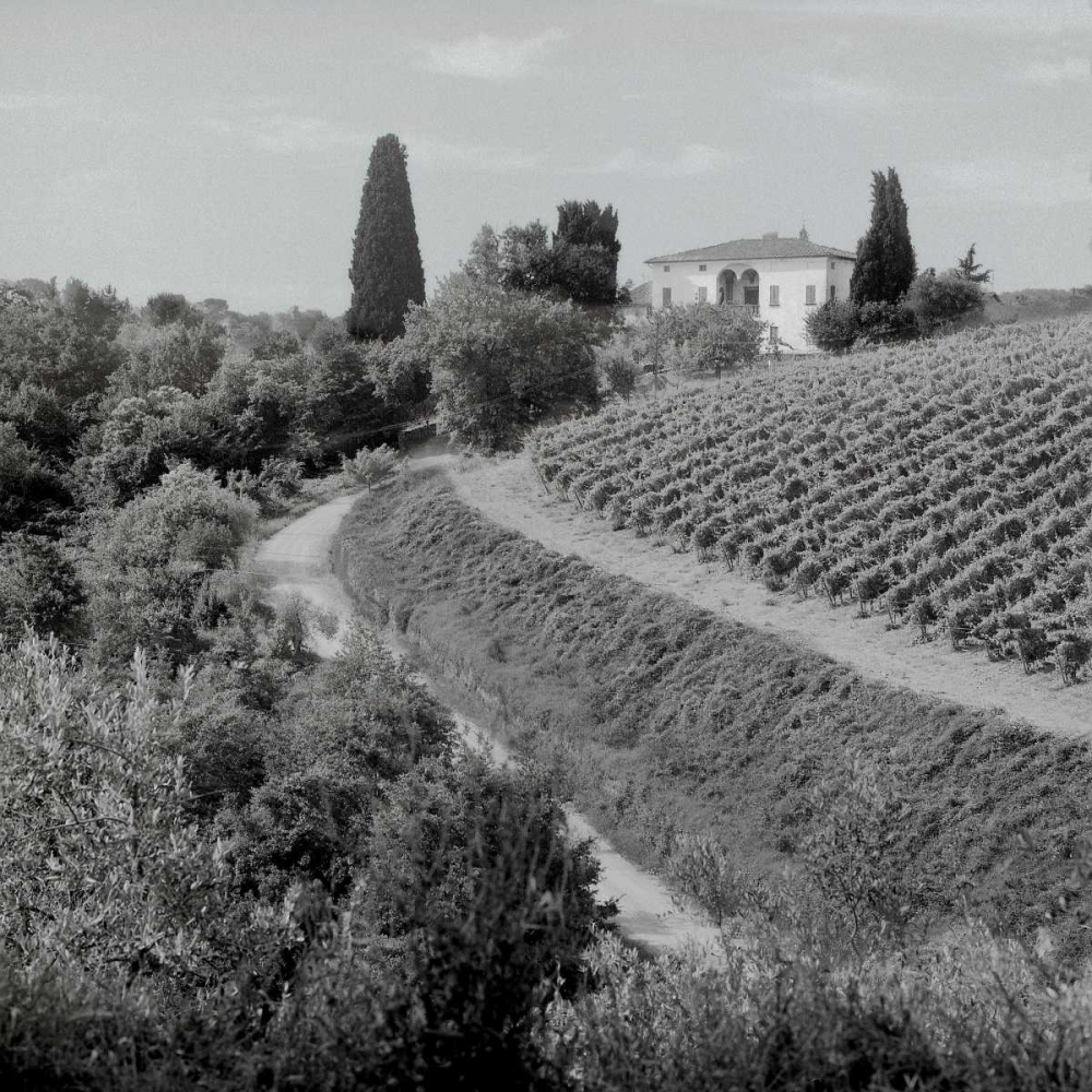 Tuscany - 5 art print by Alan Blaustein for $57.95 CAD