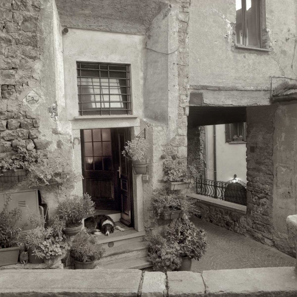 Umbria - 28 art print by Alan Blaustein for $57.95 CAD