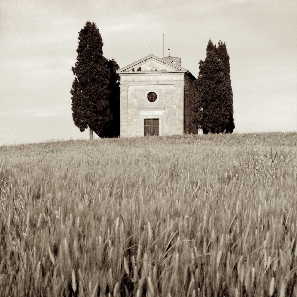 Tuscany - 9 art print by Alan Blaustein for $57.95 CAD