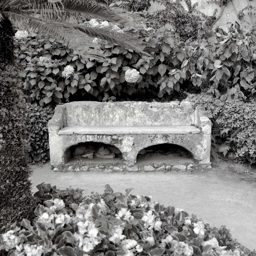 Campagnia - 1 art print by Alan Blaustein for $57.95 CAD