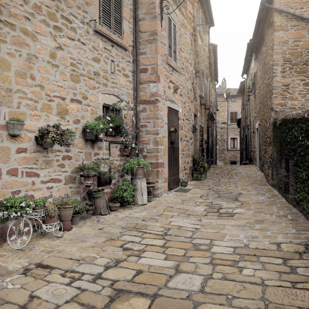 Tuscany - 14 art print by Alan Blaustein for $57.95 CAD