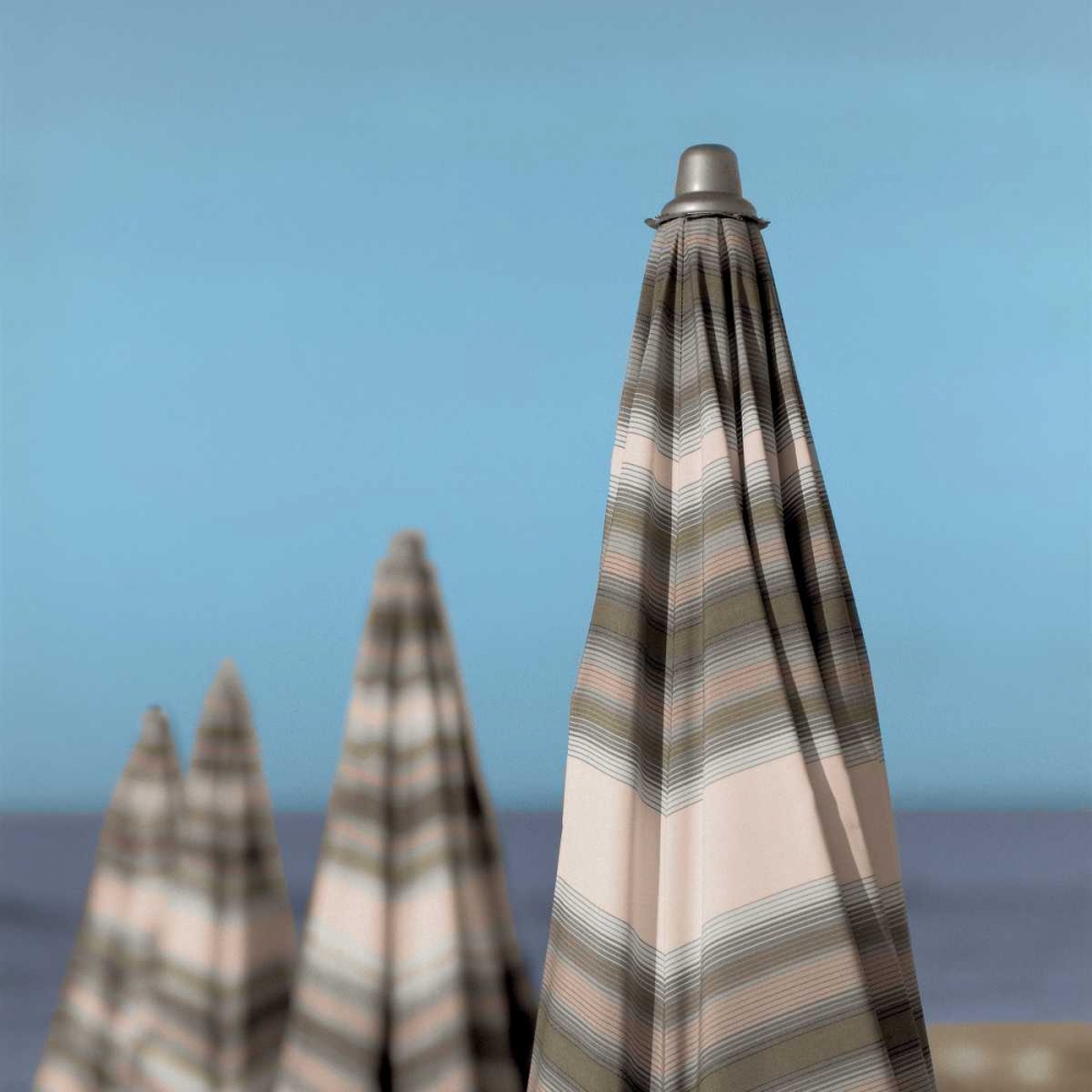 Grossetto Parasol  - 4 art print by Alan Blaustein for $57.95 CAD