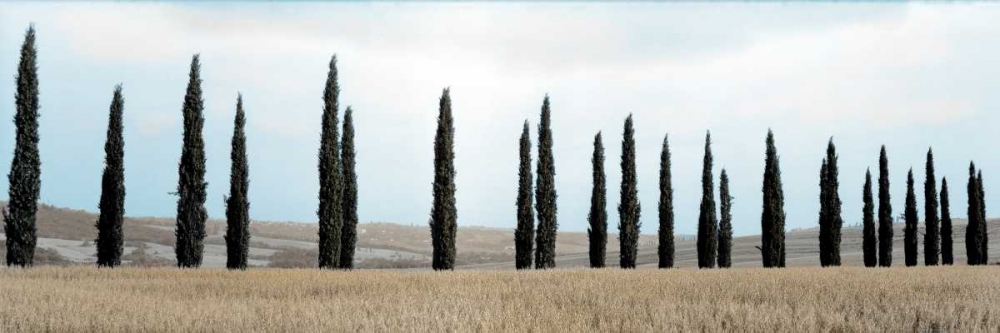 Val dâ€™Orcia Pano - 5 art print by Alan Blaustein for $57.95 CAD