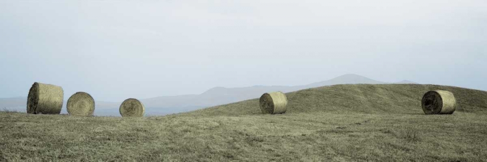 Haystacks Tuscany - 1 art print by Alan Blaustein for $57.95 CAD