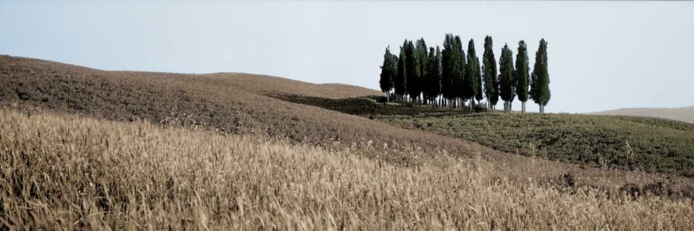 Val dâ€™Orcia Pano - 3 art print by Alan Blaustein for $57.95 CAD