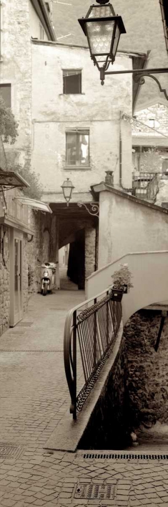 Lombardy - 3 art print by Alan Blaustein for $57.95 CAD
