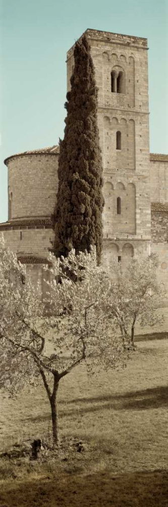 Tuscany - 16 art print by Alan Blaustein for $57.95 CAD