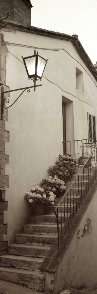 Tuscany - 2 art print by Alan Blaustein for $57.95 CAD