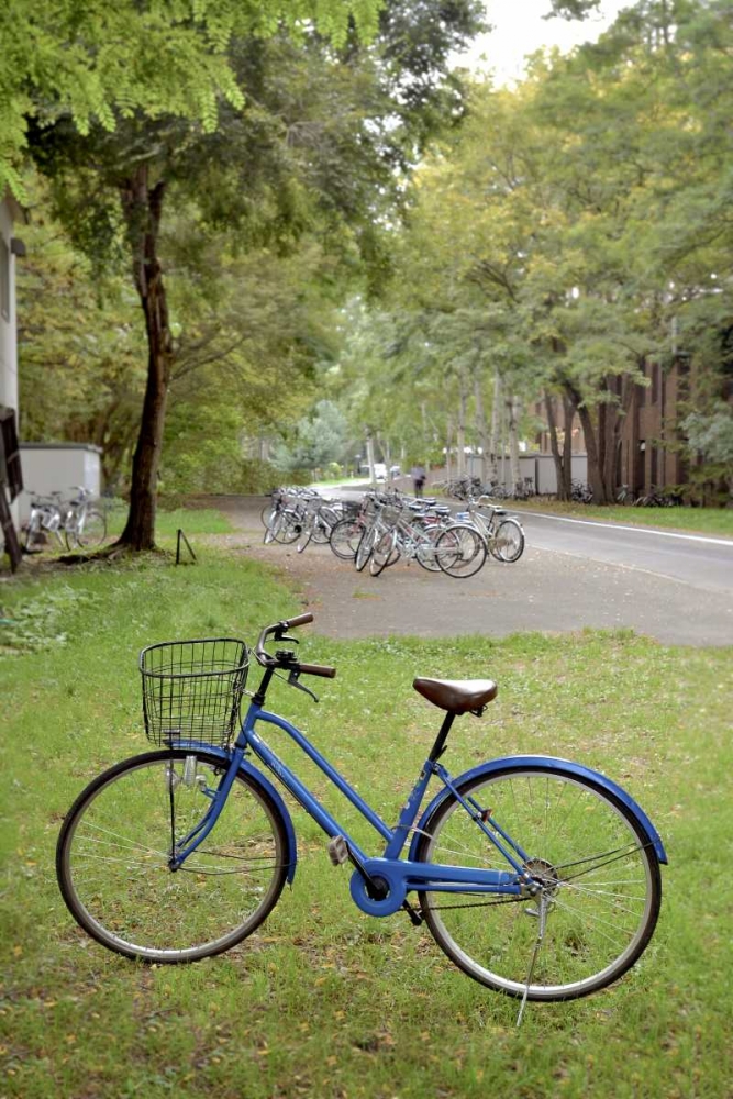 Japan Bicycle - 8 art print by Alan Blaustein for $57.95 CAD