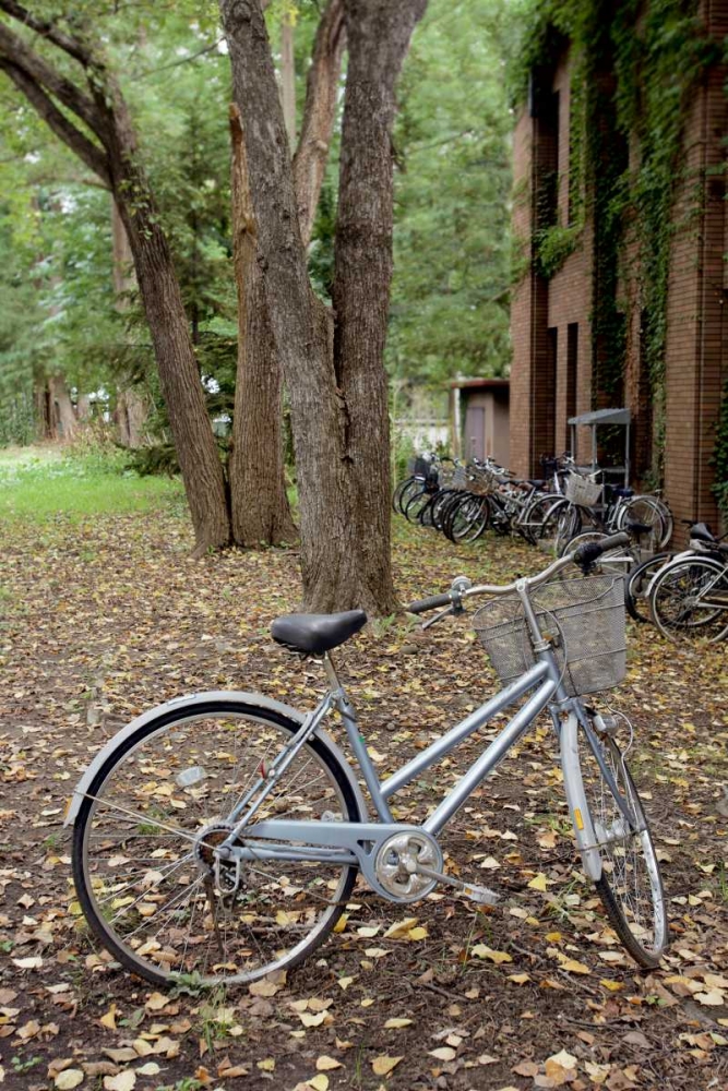 Japan Bicycle - 9 art print by Alan Blaustein for $57.95 CAD