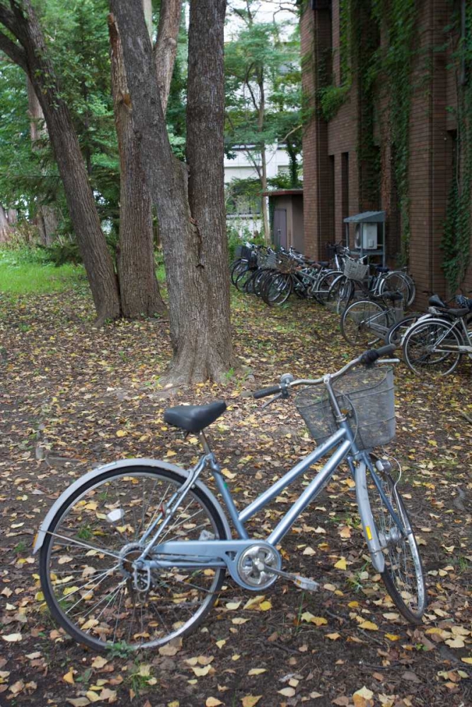 Japan Bicycle - 11 art print by Alan Blaustein for $57.95 CAD