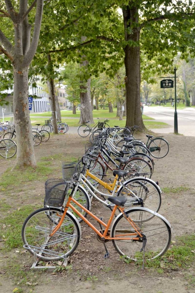 Japan Bicycle - 12 art print by Alan Blaustein for $57.95 CAD