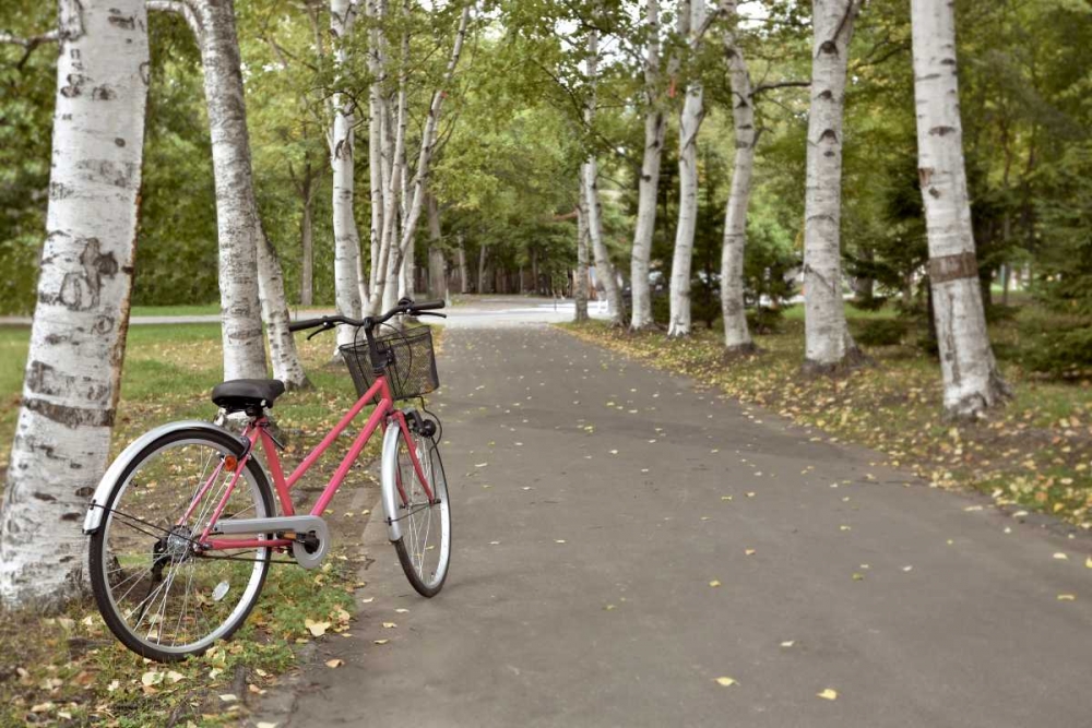 Japan Bicycle - 18 art print by Alan Blaustein for $57.95 CAD