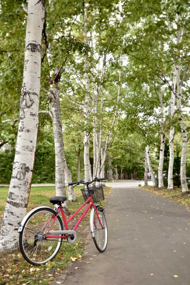 Japan Bicycle - 20 art print by Alan Blaustein for $57.95 CAD
