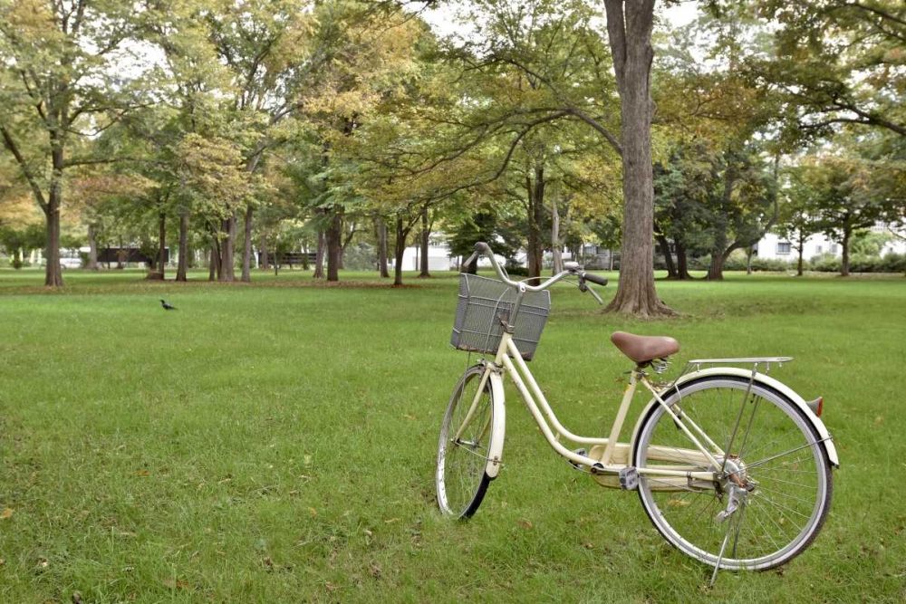 Japan Bicycle - 21 art print by Alan Blaustein for $57.95 CAD