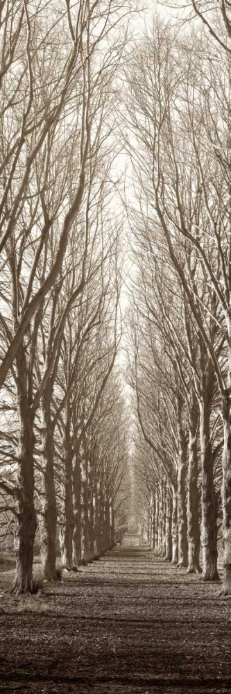 Hampton Gates Promenade art print by Alan Blaustein for $57.95 CAD