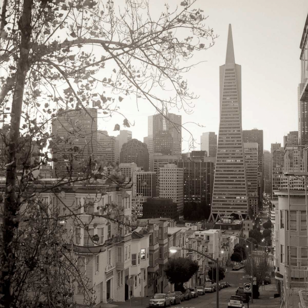 SF Skyline - 3 art print by Alan Blaustein for $57.95 CAD