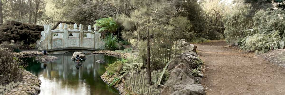 Golden Gate Park - 11 art print by Alan Blaustein for $57.95 CAD