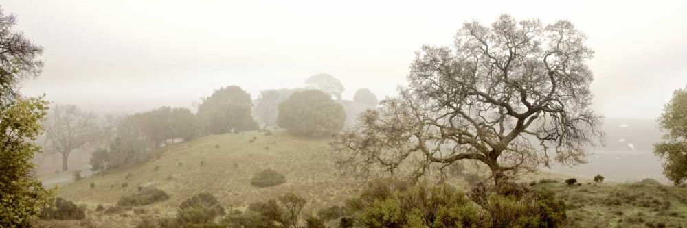Pano Version 4 art print by Alan Blaustein for $57.95 CAD