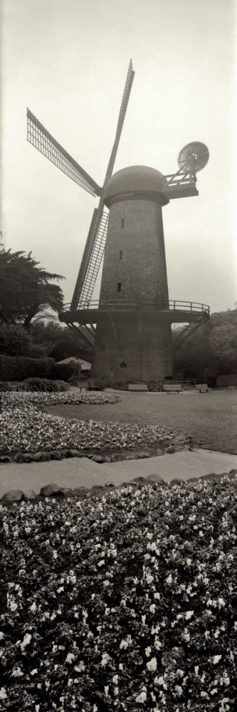 Goden Gate Park Pano - 3 art print by Alan Blaustein for $57.95 CAD
