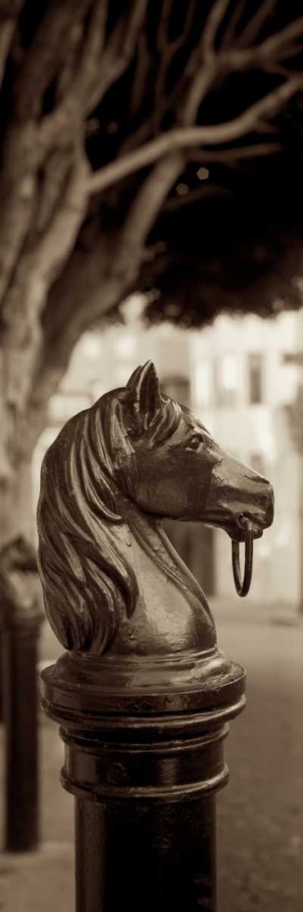 Hitching Post Pano - 2 art print by Alan Blaustein for $57.95 CAD