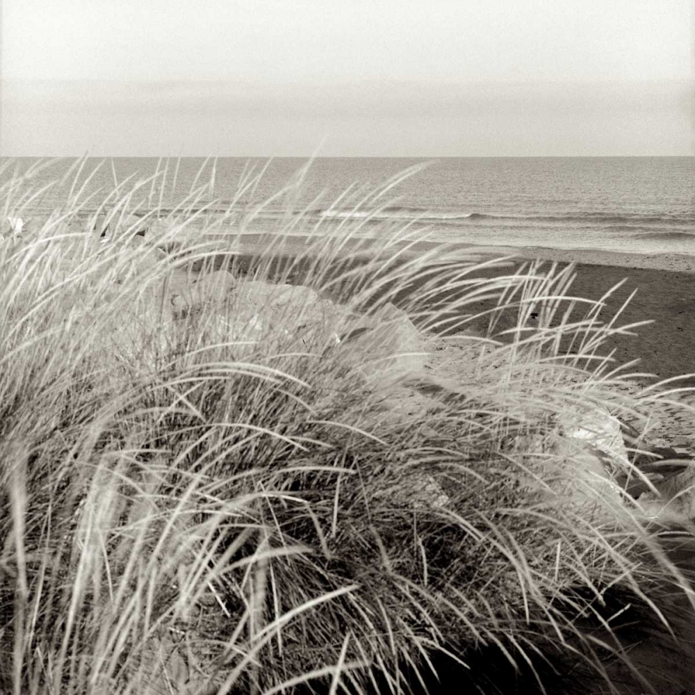 Tuscan Coast Dunes - 3 art print by Alan Blaustein for $57.95 CAD