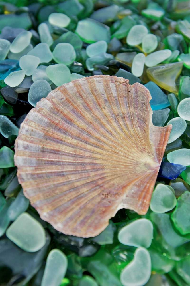 Crystal Cove - 25 art print by Alan Blaustein for $57.95 CAD