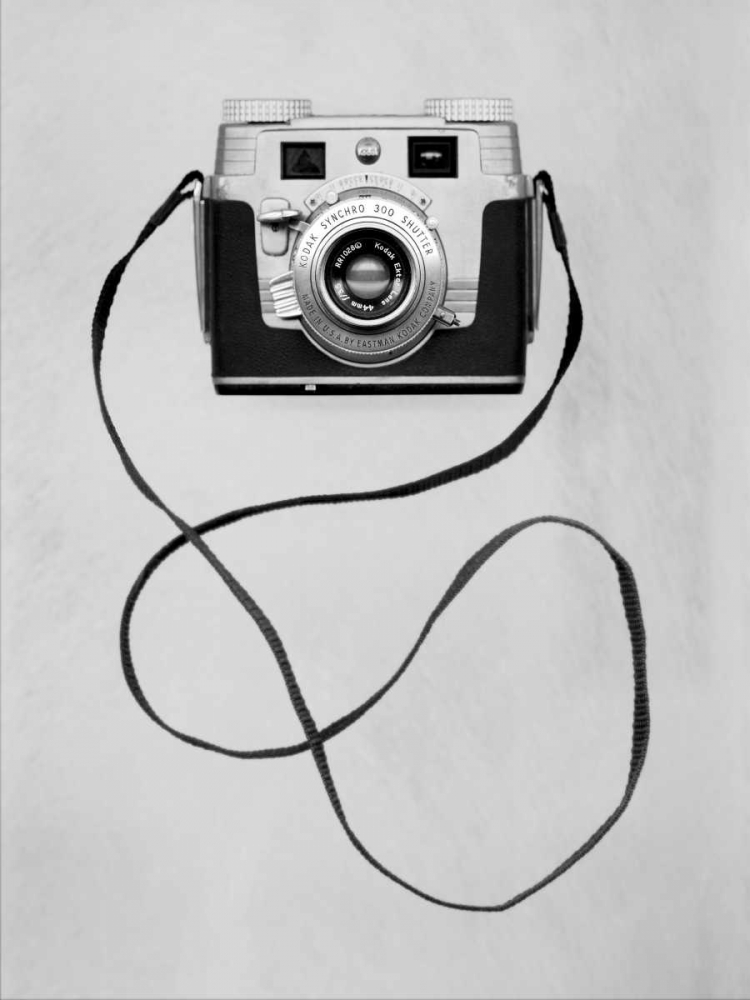 Retro Point and Shoot - 11 art print by Alan Blaustein for $57.95 CAD